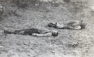 The bodies of two men, executed by a creek