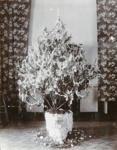 Christmas tree, Commissioner's House, Lappa Island, near Macau, 1908