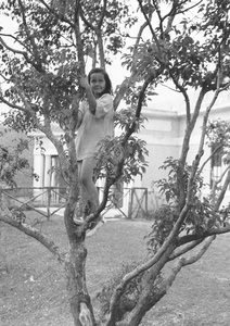 Kristine Thoresen climbing a tree, Hong Kong