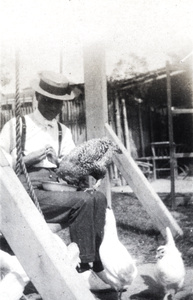 William Hutchinson sitting on a garden swing seat with a chicken feeding on his knee, Hongkew, Shanghai