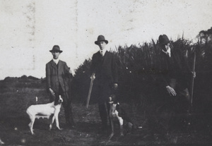 Tom Hutchinson, George Danson and John Piry with rifles and Pointer hunting dogs