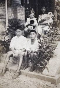 Maggie, Dick and Fred Hutchinson sitting on the steps neighbouring girl and two dogs, 35 Tongshan Road, Hongkou, Shanghai