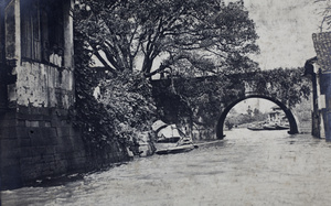 A large tree beside a bridge over a waterway, near Hangzhou