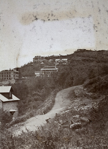 A grazing horse, workers beside a road, and summer houses, Moganshan 