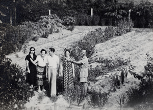 Bea Chu, Phyllis Colledge and Sarah Hutchinson, with others, (possibly visiting Kadoorie Agricultural Aid Association), Hong Kong