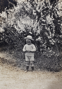 Unidentified boy standing in front of a blooming bush, Shanghai