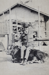 William Hutchinson looking as if he is sitting on a cow, Roselawn Dairy, Tongshan Road, Hongkou, Shanghai