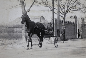 Horse with single-seat carriage and driver passing press works, near 35 Tongshan Road, Hongkou, Shanghai 