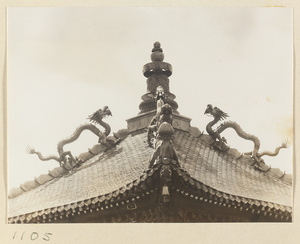 Detail showing double-eaved roof of Miao gao zhuang yan dian with dragons