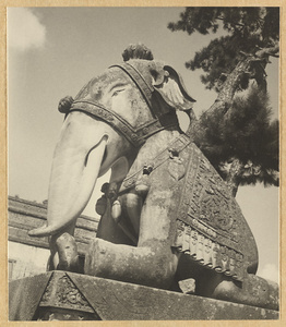 Stone statue of an elephant wearing trappings in front of Wu ta men at Pu tuo zong cheng miao