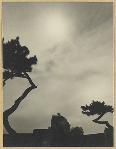 Silhouette of trees and a temple building