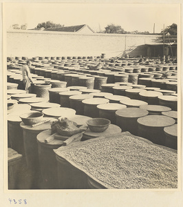 Rows of pickle vats at a pickle factory in Baoding