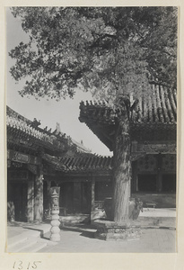 Buildings with roof ornaments and courtyard with incense burner on stone pedestal, bronze water vat, and tree in the Forbidden City