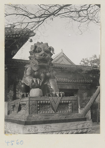 Bronze lion in northeast corner of third courtyard at Yong he gong