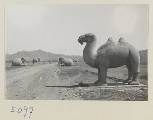 Stone camel and elephants on Shen Dao leading to the Ming tombs
