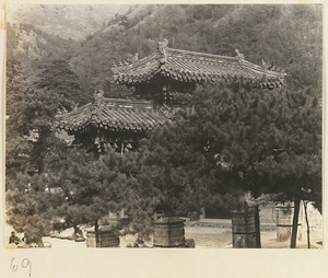 Temple building with roof ornaments, pine trees, and market at Tan zhe si