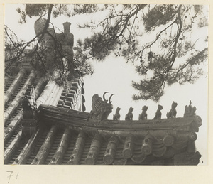 Detail of temple roof at Tan zhe si showing roof ornaments