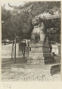 Stone lion at Yihe Yuan