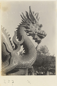Detail showing the head of a bronze dragon in front of Pai yun dian