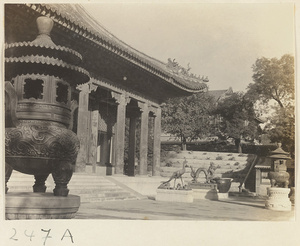 Courtyard of Ren shou dian with bronze incense burners, phoenix, and dragon