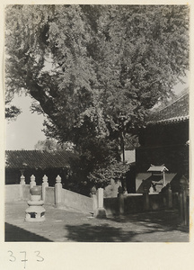 Bridge leading to courtyard with tree and stone chime at Da jue si