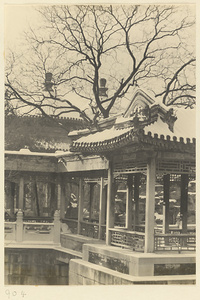 Covered walkway and roofs of Shuang huan wan shou ting at Nanhai Gong Yuan