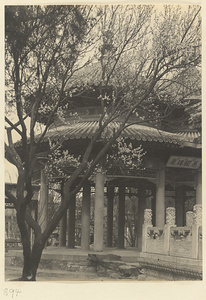 Detail of Shuang huan wan shou ting showing one pavilion with signboard