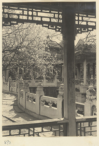 Curved balustrade, covered walkway, and roofs of Shuang huan wan shou ting at Nanhai Gong Yuan