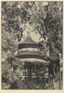 Detail of Qi nian dian showing roof, wall, and trees