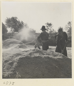 Men raking grain