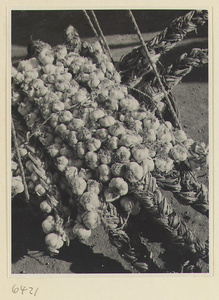 Braided garlic bulbs in street vendor's basket