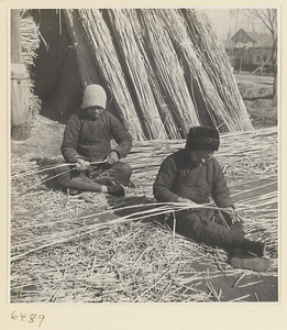 Man and woman splitting reeds at a mat-making shop