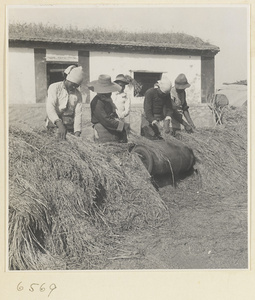 Workers threshing grain in front of a building