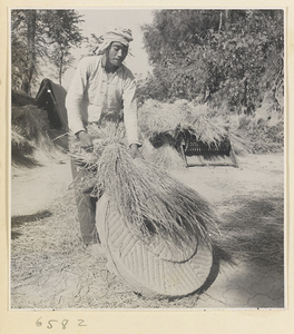 Man threshing grain against a stone