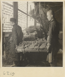 Tobacco shop interior showing men carrying a load of pressed tobacco