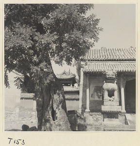 Statue of a lion with a cub in front of a temple building in Tai'an