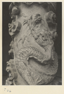 Detail of carved dragon pillar on the porch of Da cheng dian at the Kong miao