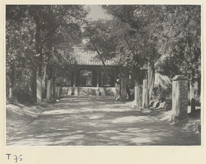 Walkway lined with stone stelae and gate to the grave of Kong Lin at the Kong miao in Qufu