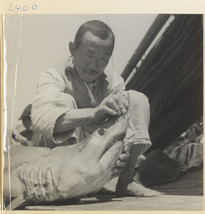 Man holding a shark on a junk on the Shandong coast