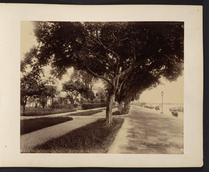 Tree-lined pedestrian avenue along waterfront, Shameen Island, Canton