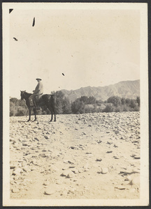 Dr. Zwemer on horseback
