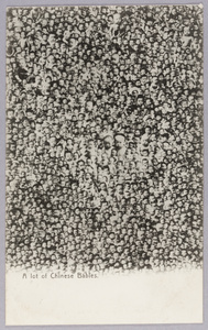 A photomontage of 1,700 Japanese babies, Tokyo