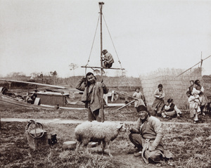 Men with performing sheep, monkey and dog