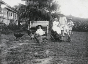 Boy and girl feeding hens