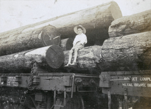 Gerald Johns sitting on logs on a train wagon