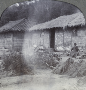 A man beside a country house, with brushwood and straw