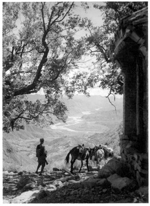 A soldier and two mules in a mountain pass from Pei Chu Ma Ho valley