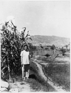 Hsiao Li Lindsay (李效黎) beside a field of kaoliang sorghum, 1943