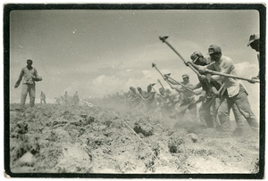 Soldiers hoeing a field while other men sow seeds