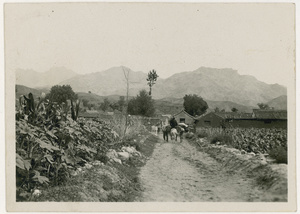 Man with mules carrying sacks past fields by a village